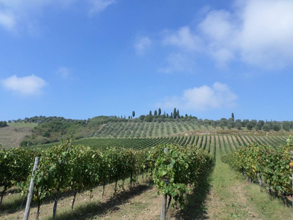 Tenuta Villa Rocchi Torrita di Siena Exterior photo